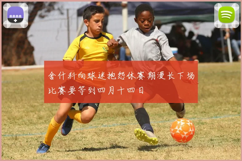 舍什科向球迷抱怨休赛期漫长下场比赛要等到四月十四日